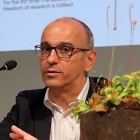 Foto profilo A Chiarucci