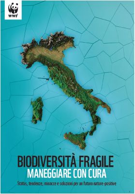 Copertina report: Biodiversità fragile