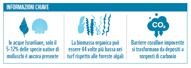 Effetti cambiamenti climatici_1