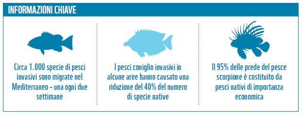 Effetti cambiamenti climatici_2