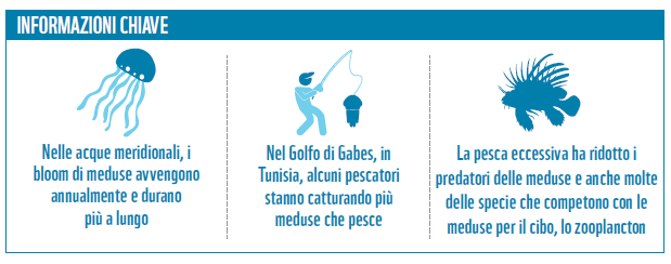 Effetti cambiamenti climatici_3