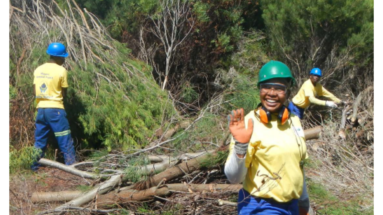 Nature Hires: How nature-based solutions can power a green jobs ...