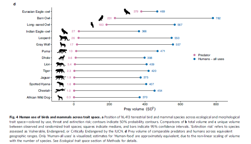 Predatory Behaviour Humans Humanity’s diverse predatory niche and its ecological consequences ...