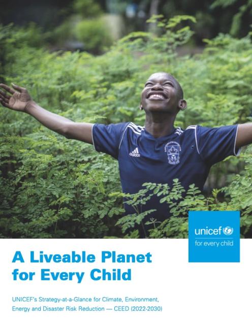 A Liveable Planet For Every Child: UNICEF’s Strategy | WWF One Planet ...